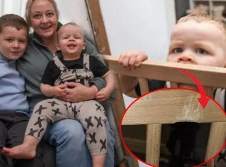 Betül Yasemin Kökbek / Milliyet.com.tr –Bebekler dünyaya geldikten kısa bir