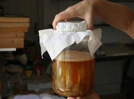 Bağırsak sağlığı söz konusu olduğunda akla ilk gelen besinler genellikle