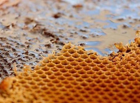 Ilgaz Dernekler Federasyonu tarafından 29 Eylül 2025’te İstanbul’da öğrencilere burs