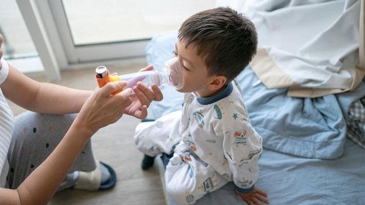 Evdeki görünmez tehdit: Çocuklarda astımı tetikliyormuş Kaynak: DHA Gözle görülmeyen ancak mikroskop altında canavarı andıran ev