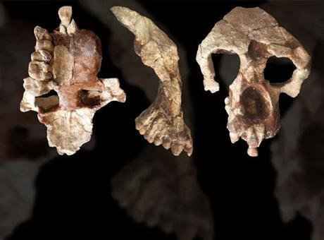 Fas Kültür Bakanlığı, ülkenin batısındaki Kazablanka kenti banliyölerindeki bir mağarada