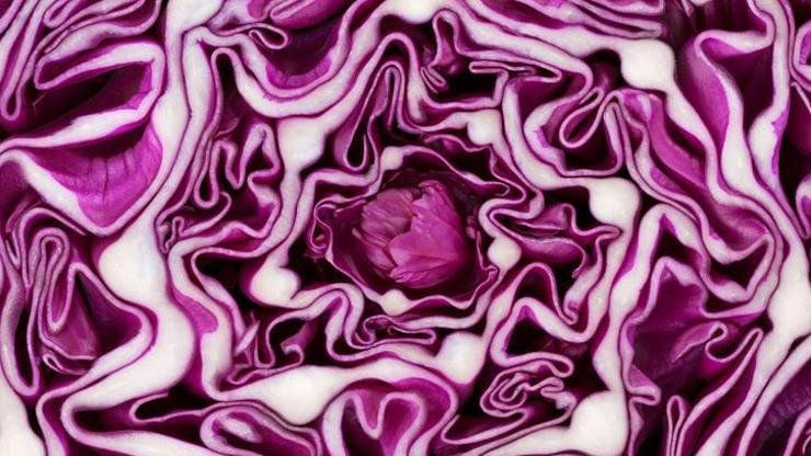 Kaynak:Cnnturk.com Mor lahananın içerisinde yüksek C vitamini ve güçlü antioksidanlar