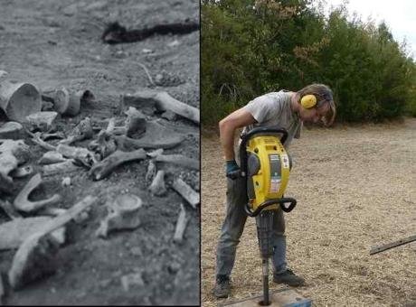 Almanya’nın Leipzig kentinden disiplinler arası bir araştırma ekibi, Erfurt kenti