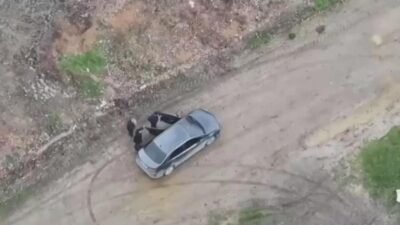 Kaynak: DHA Olay, dün gece saatlerinde İmrahor Mahallesi’ndeki çiftlikte meydana