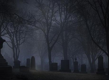 CBS’nin haberine göre “Return to Nature” cenazeevinde 2019-2023 yıllarında 189