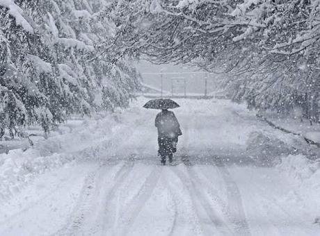 Japonya’nın farklı kesimlerinde geçen aydan bu yana etkili olan yoğun
