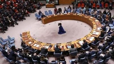 Pakistan, Fransa, Bahreyn, Danimarka, Yunanistan, Letonya, Somali ve İngiltere, BM