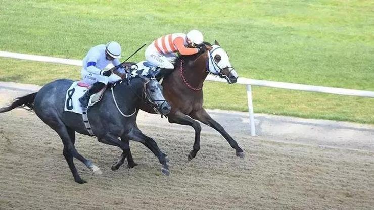 İzmir’de 64’üncü Hipodrom.com Ege Derbisi’nin kazananı The Protecter Kaynak:Cnnturk.com 64’üncü Hipodrom.com Ege Derbisi‘nde ikinciliği Klein elde ederken, Prens Levent