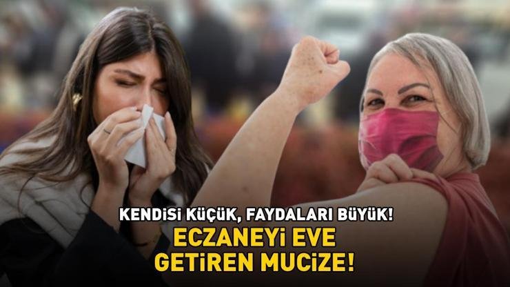 Kilosu 80 TL! Eczaneyi eve getiren mucize: Güçlü bir antioksidan kaynağı! Vücudu hastalıklara karşı koruyor, bağışıklığı destekliyor Kaynak:Cnnturk.com Tekirdağ’ın Süleymanpaşa ilçesinde kurulan Salı Pazarı’nda çileğin kilosu 80