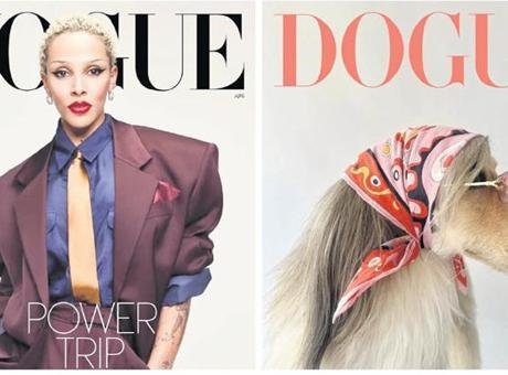 Vogue’dan Dogue davası New York Times’ın haberine göre, dava dilekçesinde Dogue’un logosunun iki