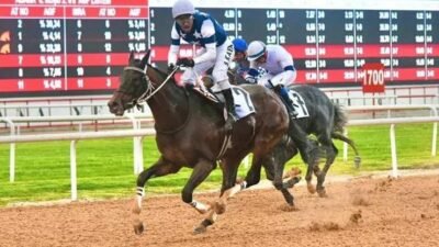 Kaynak:Cnnturk.com Türkiye’nin en prestijli&nbsp;at yarışı&nbsp;organizasyonlarından biri olarak kabul edilen yılın