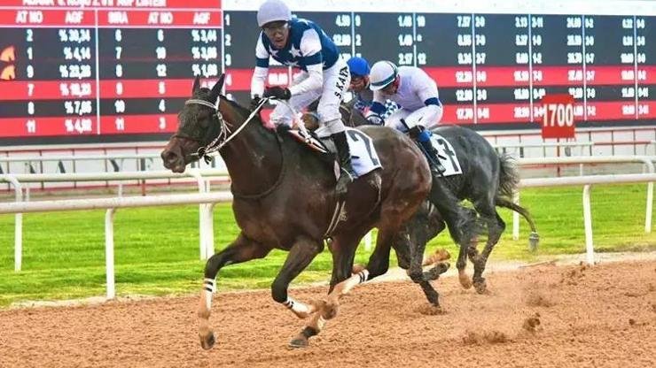 Kaynak:Cnnturk.com Türkiye’nin en prestijli&nbsp;at yarışı&nbsp;organizasyonlarından biri olarak kabul edilen yılın