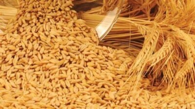 Arpa Suyunun Faydaları Nelerdir? Arpa suyunun sağlık açısından pek çok