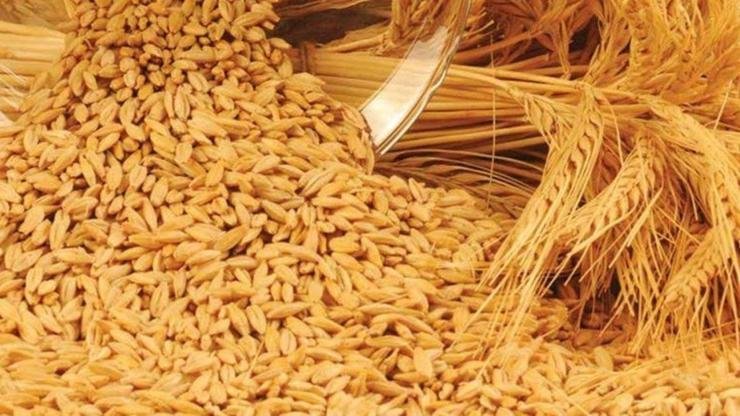 Arpa Suyunun Faydaları Nelerdir? Arpa suyunun sağlık açısından pek çok