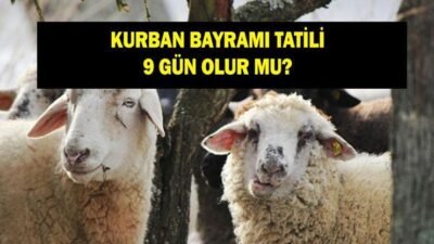 Kaynak:Cnnturk.com Kurban Bayramı tatil tarihleri, şimdide plan yapmak isteyen çalışanların