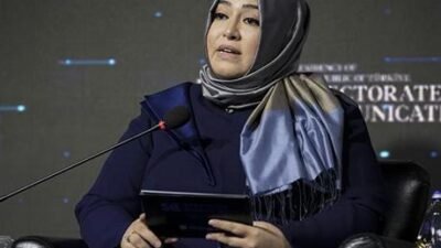 Irkçılık ve Hoşgörüsüzlüğe Karşı Avrupa Komisyonu (ECRI) Üyesi ve Ankara