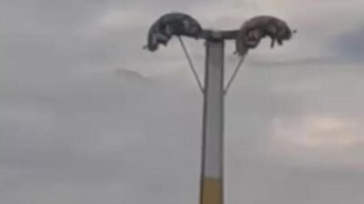 Kaynak:İHA Olay, Buca Gölet mevkiinde bulunan lunaparkta meydana geldi. Bayram