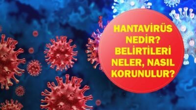 Kaynak:Cnnturk.com Arjantin çıkışlı MV Hondius yolcu gemisinde gündeme gelen ve
