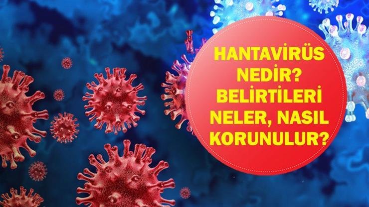Kaynak:Cnnturk.com Arjantin çıkışlı MV Hondius yolcu gemisinde gündeme gelen ve