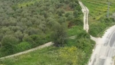 Hatay’da 42 düzensiz göçmen yakalandı Samim SELÇUK/ HATAY, (DHA)- HATAY’da jandarma ekiplerinin Altınözü ve Yayladağı
