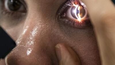 MİLLİYET.COM.TR – İngiltere ve İsveç’ten bilim insanlarının yer aldığı bir