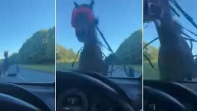 İngiltere’nin Essex bölgesine bağlı Harlow kentinde yaşanan olayda, kontrolden çıkan