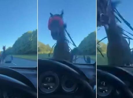 İngiltere’nin Essex bölgesine bağlı Harlow kentinde yaşanan olayda, kontrolden çıkan