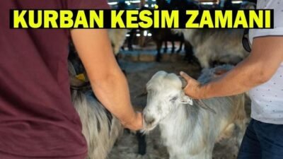 Kaynak:Cnnturk.com Kurban Bayramı ile birlikte ibadetini yerine getirmek isteyen vatandaşlar,