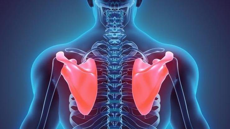 Kürek Kemiği Ağrısı İçin Hangi Doktora Gidilir? &nbsp;Kürek Kemiği ağrısı