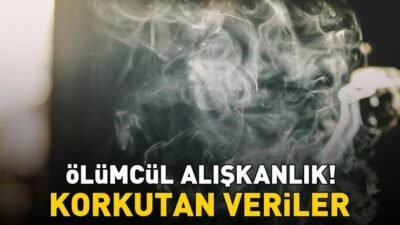 Kaynak:AA Dünya Sağlık Örgütü’nden (DSÖ), “31 Mayıs Dünya Tütünsüzlük Günü”