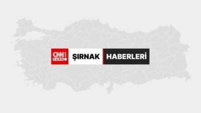 ŞIRNAK (AA) – Şırnak’ta düzenlenen kaçakçılık ve asayiş operasyonlarında 105