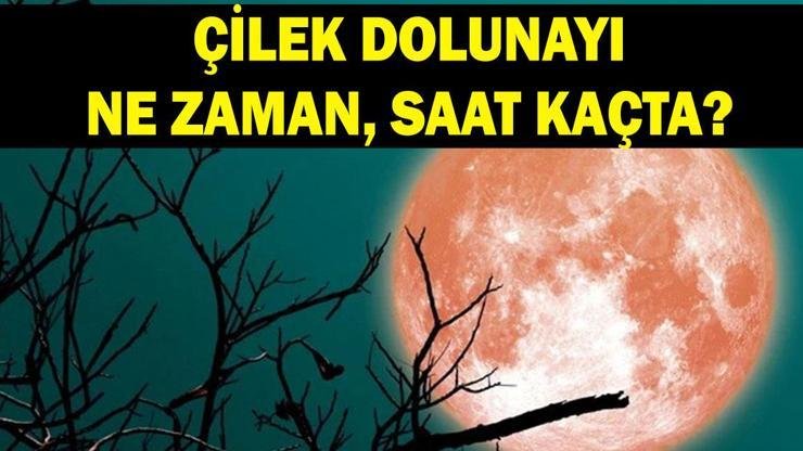 Kaynak:Cnnturk.com Çilek Dolunayı ile ilgili bilgiler sorgulanıyor. Gökyüzünün dikkat çeken