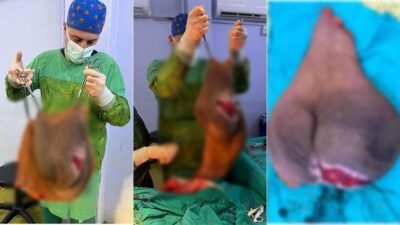 Kaynak:İHA Edinilen bilgiye göre, Aydın‘ın Efeler ilçesinde yaşayan Leyla Demirkafa’nın