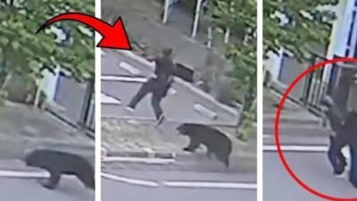 Japonya merkezli Kyodo News’ün haberine göre, ayı saldırısı ilk olarak