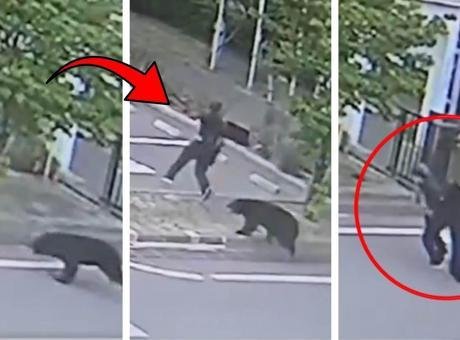 Japonya merkezli Kyodo News’ün haberine göre, ayı saldırısı ilk olarak