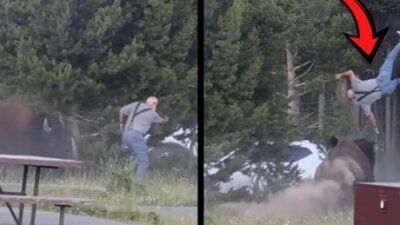 ABD’deki Yellowstone Ulusal Parkı’nda ziyaretçiler korku dolu anlar yaşadı. Montana
