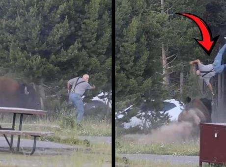 ABD’de dehşet! Bizon yaşlı adamı 2,5 metre havaya fırlattı ABD’deki Yellowstone Ulusal Parkı’nda ziyaretçiler korku dolu anlar yaşadı. Montana