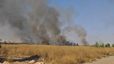Kaynak: DHA Suriye’nin kuzeyindeki Kamışlı kentinde çıkan anız yangını, rüzgarın