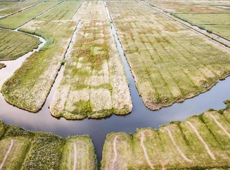Hollanda’da kuraklık nedeniyle su krizi giderek derinleşiyor. Hollanda Altyapı ve