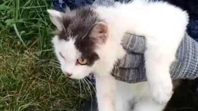 Rusya’nın Nijniy Novgorod bölgesindeki bir cezaevinde güvenlik görevlileri, filmleri aratmayan
