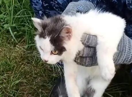 Rusya’nın Nijniy Novgorod bölgesindeki bir cezaevinde güvenlik görevlileri, filmleri aratmayan