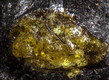 Çin’de görev yapan bilim insanları, şimdiye kadar keşfedilen en eski
