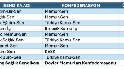 Kamu çalışanlarını temsil eden sendikalar arasındaki üye sayısı sıralamasında dikkat