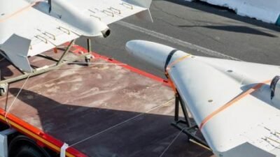 İran Meclis Başkan Yardımcısı Ali Nikzad, çevrim içi düzenlenen Meclis