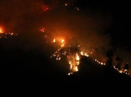 Üzümlü Mahallesi’ndeki ormanlık alanda henüz belirlenemeyen nedenle yangın çıktı. İhbar