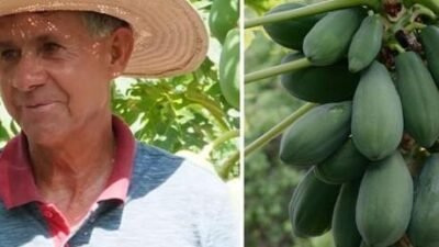 Brezilya’nın Mato Grosso eyaletine bağlı Nova Brasilandia kentinde yaşayan 67
