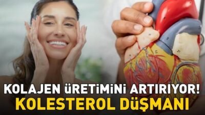 Kaynak:Cnnturk.com Bektaşi üzümü; yüksek antioksidan kapasitesi, vitamin ve lif içeriği