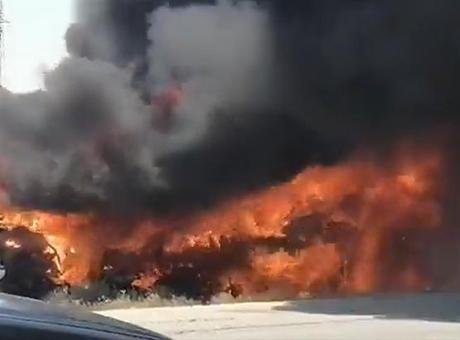 Suriye devlet televizyonu El-İhbariyye, Şam-Deyrizor yolu üzerinde, Suhne ve Palmira