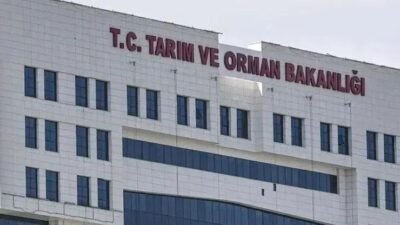 Kaynak:Cnnturk.com Haberlerimizi Google’da Takip Edin Gelişmelerden anında haberdar olun. Google’da