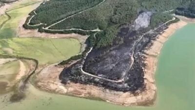 Tekirdağ’da yangında 80 dekar orman zarar gördü Tekirdağ’ın Malkara ilçesine bağlı kırsal Teteköy Mahallesi’nin Soğuksu mevkisinde saat